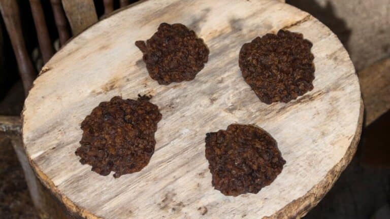 Galletas de Avena Sin Gluten con Cacao, Plátano y Chispas de Chocolate (Sin Huevo y Sin Azúcar Añadido) 🍌🍫🌾